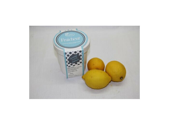 Sorbet Citron demi  Litre