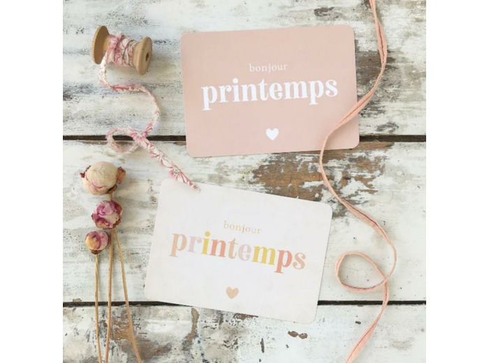 CARTE POSTALE BONJOUR LE PRINTEMPS / ROSE DE MARS- CINQMAI