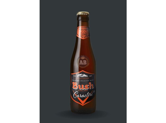 Bière Belge Bush Caractère 12° / 33cl - Apéros & Boissons