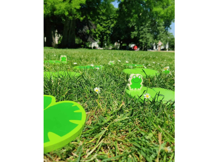 Chemin d'équilibre - La mare aux grenouilles