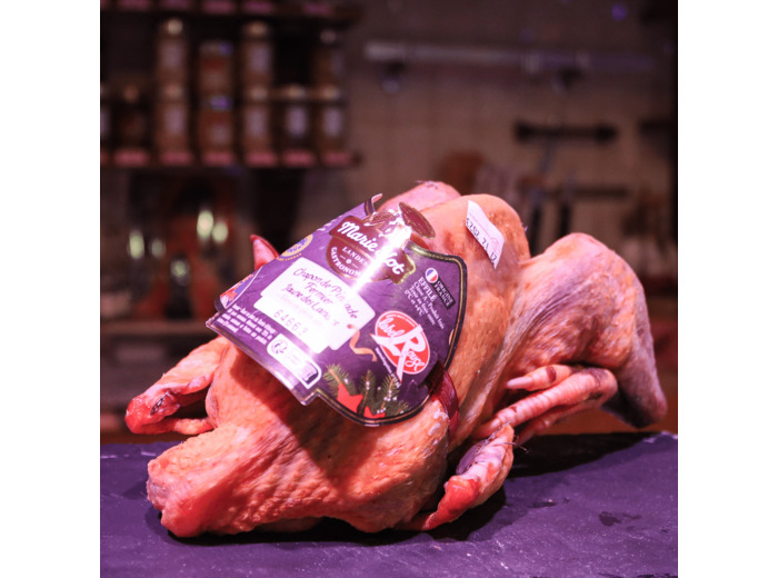 Pintade chaponné jaune des landes fermier