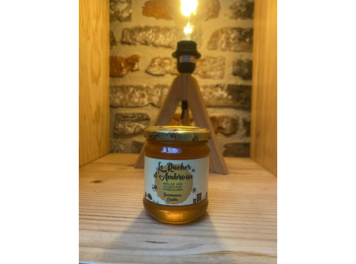 Miel de Juin Du bocage Le Rucher d'Ambroise