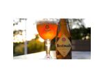 Bière Belge Westmalle Tripel 9.5° / 33cl - Apéros & Boissons