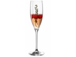 POESIA - 6 FLUTES A CHAMPAGNE 25CL -  LEONARDO