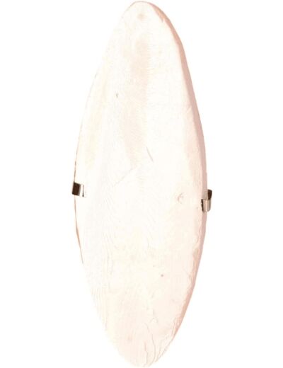 Trixie Os de seiche - 16 cm, Naturel 1 unité (Lot de 1)