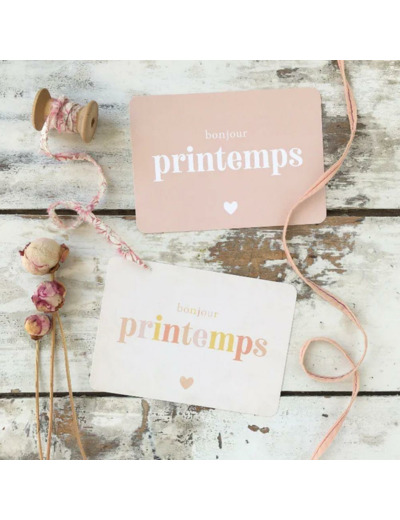 CARTE POSTALE BONJOUR LE PRINTEMPS / ROSE DE MARS- CINQMAI