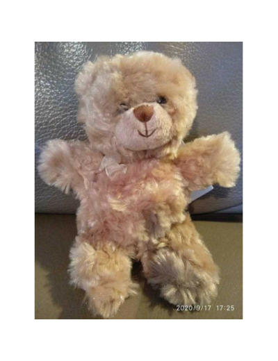 Ourson-Peluche Bukowsski