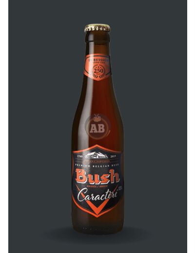 Bière Belge Bush Caractère 12° / 33cl - Apéros & Boissons