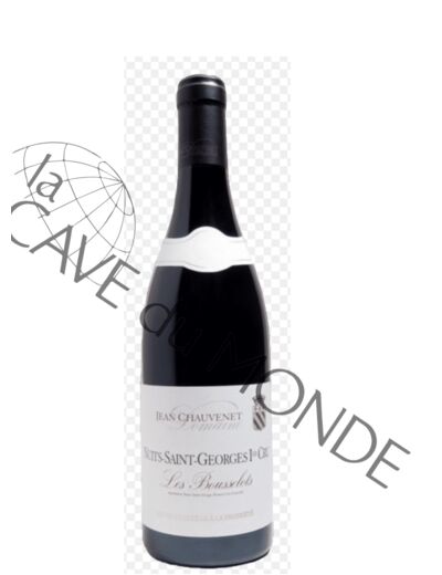 Bourgogne Nuits St Georges 1er Cru Les Bousselots Dom Chauvenet 2019 13,5° 75cl