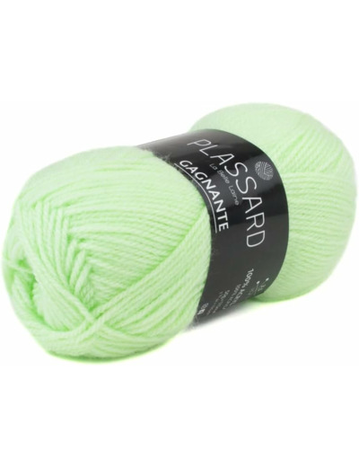 pelote de laine Gagnante coloris 934