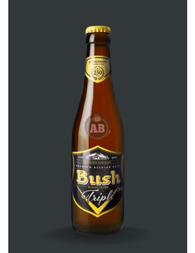 Bière Belge Bush Triple 10.5° / 33cl