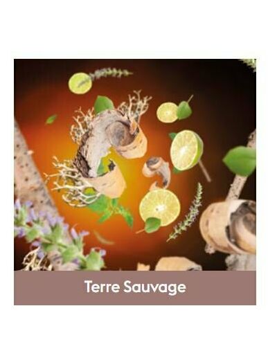Recharge Lampe Terre Sauvage 500ml
 - Maison Berger