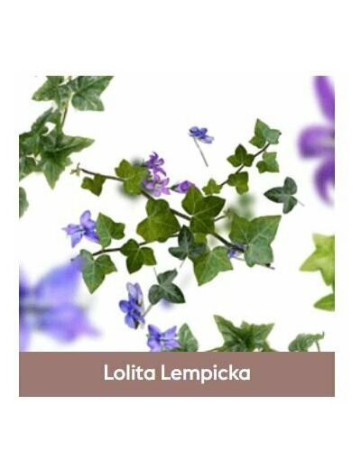 Recharge Lampe Berger  - Lolita Lempicka - Maison Berger