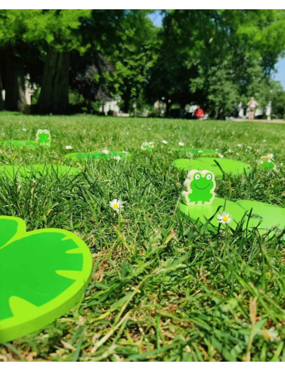 Chemin d'équilibre - La mare aux grenouilles