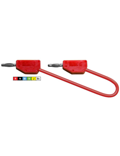 Cordon PVC Ø2mm avec reprise arrière 1m rouge