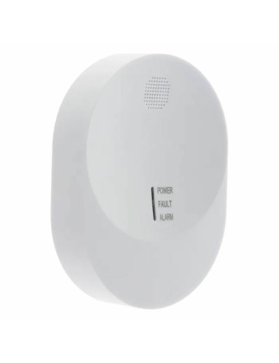 Détecteur de monoxyde de carbone CO