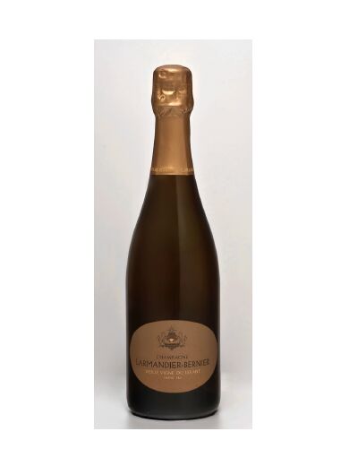 Champagne Larmandier-Bernier Grand Cru 2010 "Vieille Vigne Du Levant" Extra-Brut Blanc de Blancs 12,5°  75cl