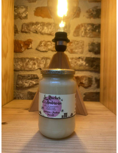 Miel de printemps Le Rucher d'Ambroise