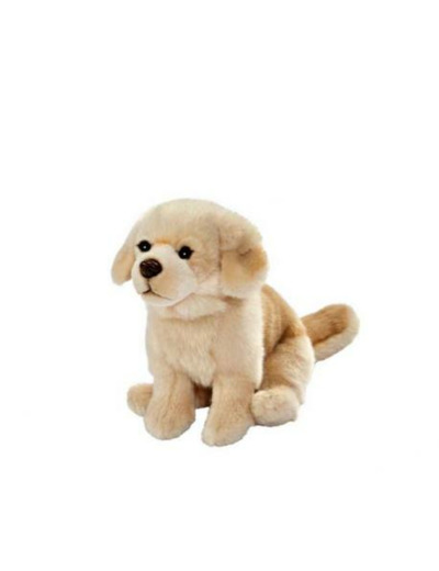 Peluche - Golden Retriever - Maman et Bébé La Fère