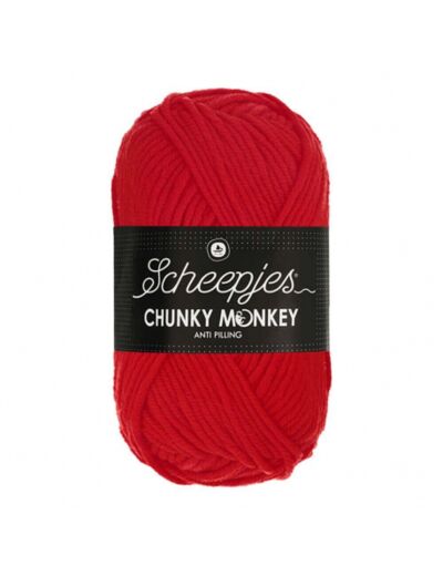 1010 - Scheepjes Chunky Monkey