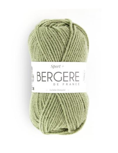 Pelote de laine sport + Lichen