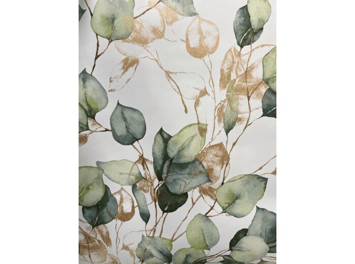 Papier Peint Eucalyptus vert