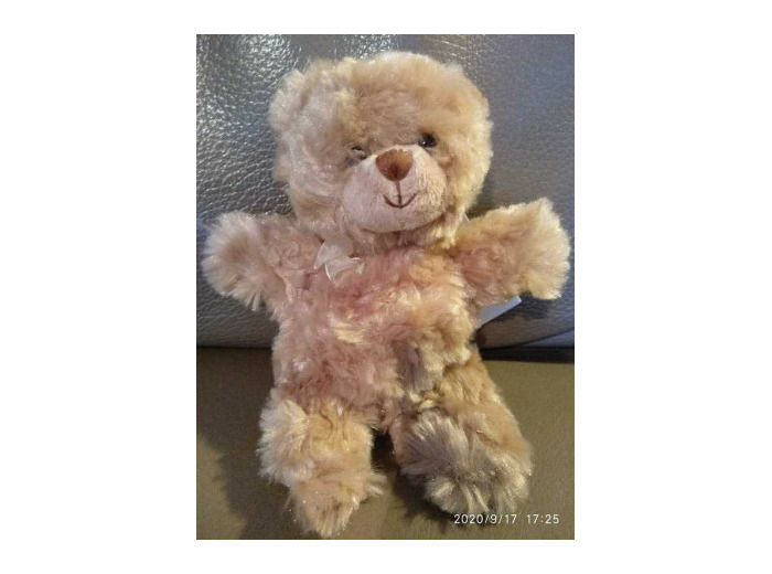 Ourson-Peluche Bukowsski