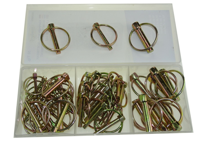 50 goupilles clip assorties 11465