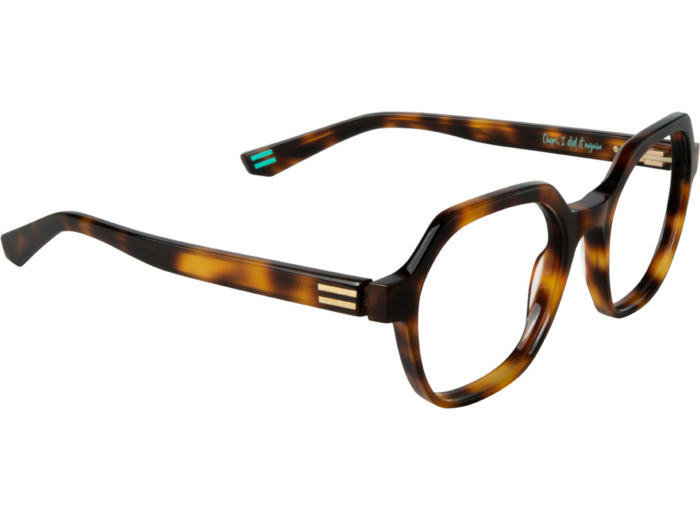 DILEM OUPS04 2 49 18