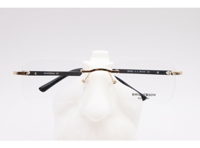 BRIGHT&SON BR 509 C3