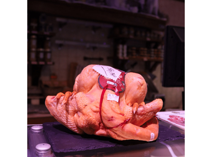 Chapon fermier des landes