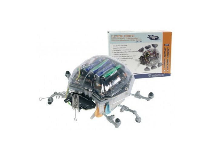 Kit robot ladybug