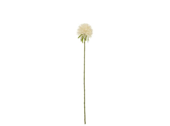 Fleur Allium Plastique Blanc