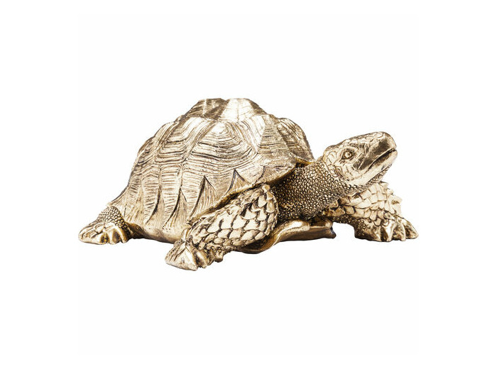 TORTUE GOLD