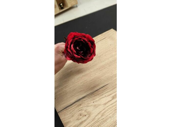 Rose 1 Tige Plastique Rouge/Or