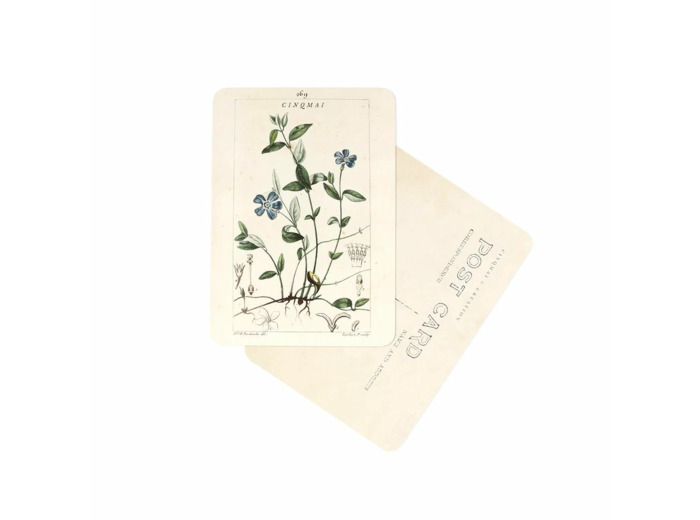 CARTE POSTALE FLEURS BLEUES