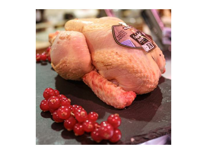 Coquelet jaune - Boucherie Chez Christophe