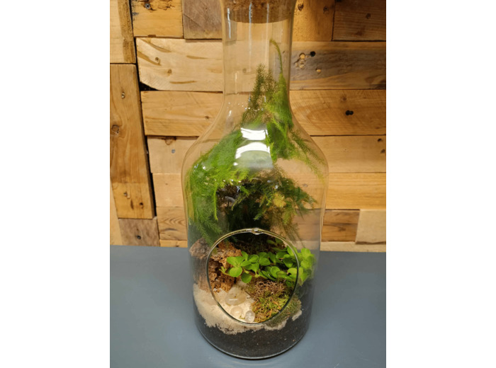 Terrarium TORTUGA - TERRA LOVA by Chris - Sur le trottoir d'en face