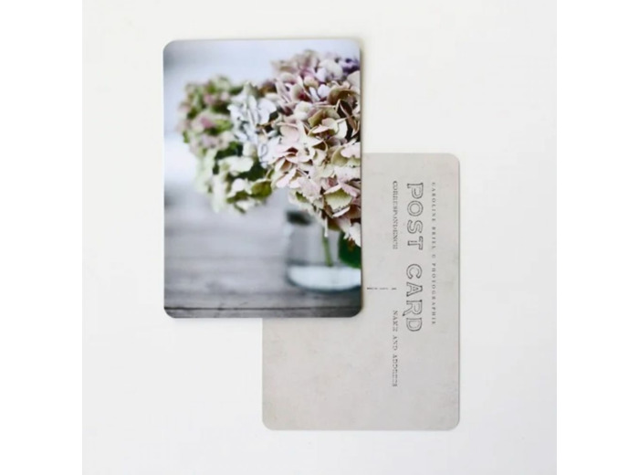 CARTE POSTALE HORTENSIAS