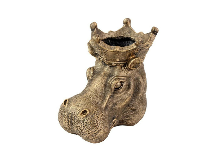 Tête d'hippopotame