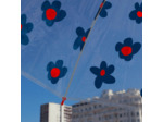 PARAPLUIE FLEURS BLEUES ADULTE