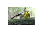 Lunettes Solaires JUYAR SPORT- Optique Julien