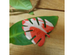 Broche XL en Résine - COLLECTION MONSTERA - DANIELE DEMOULIN - Sur le trottoir d'en face