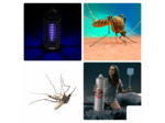 Tue-insectes électrique, lampe UV anti insectes