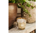 BOUGIE MY FIRST BAOBAB AURUM -  BAOBAB COLLECTION - Jasmin-Galbanum-Mus