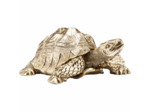 TORTUE GOLD