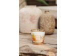 BOUGIE MY FIRST BAOBAB A SAINT-TROPEZ -
 BAOBAB COLLECTION -
 Menthe - Thym - Basilic