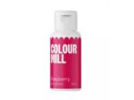 Colour mill colorant chocolat - Patiss&vous