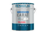 Peinture pro mur et plafond velours RAL au choix  1L