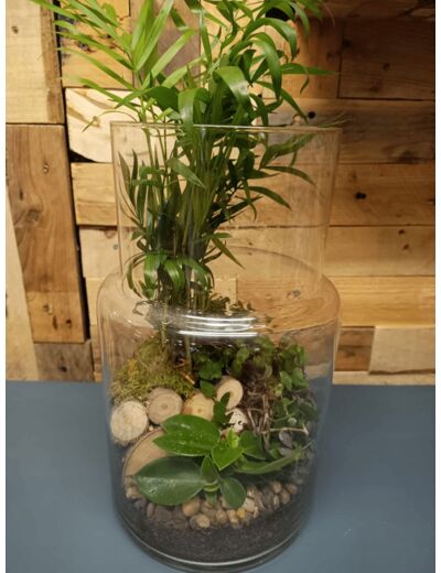 Terrarium LUMBERJACK - TERRA LOVA by Chris - Sur le trottoir d'en face